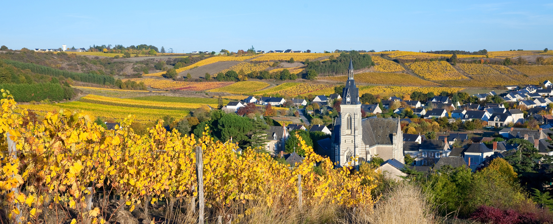 Événement B2B Anjou Fibre