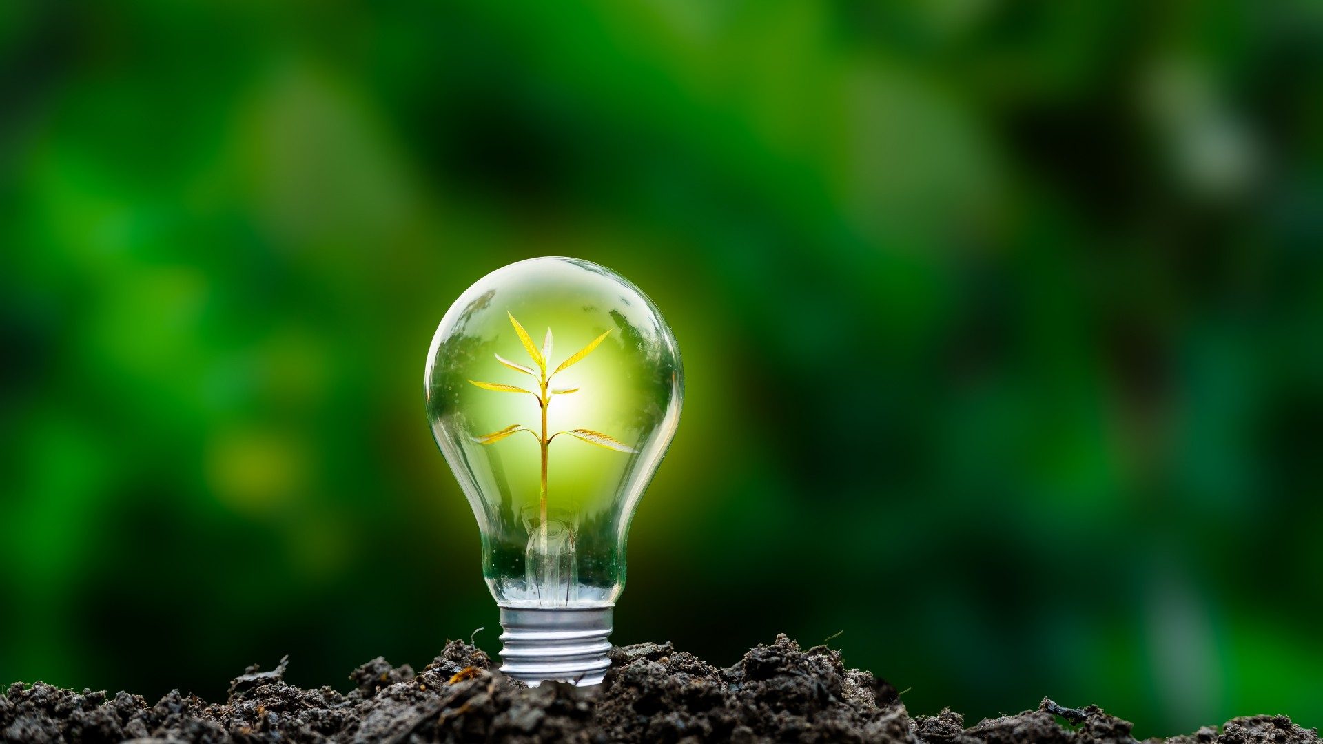 Lumière s’engage pour une énergie 100 % verte et française  